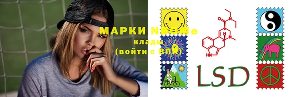 прущие грибы Абинск