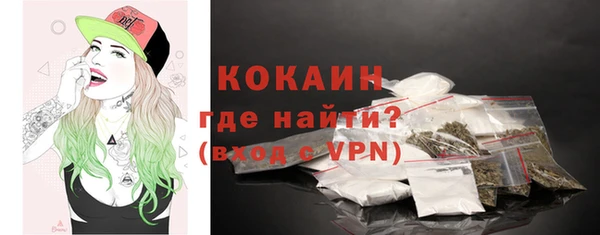 прущие грибы Абинск