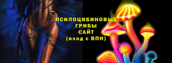 молекула духа Алзамай