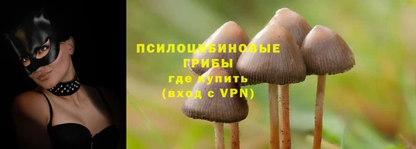 мяу мяу мука Алексеевка