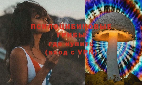 прущие грибы Абинск